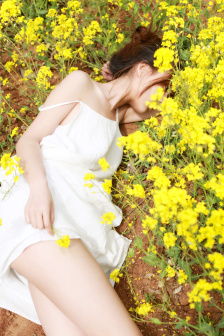 圆盘皇女第一季